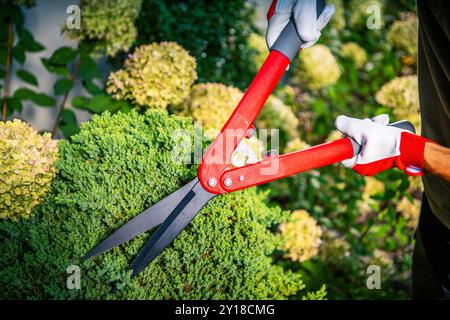 Un giardiniere utilizza cesoie da giardino rosse per rifinire con cura i cespugli verdi in un giardino colorato, godendosi un luminoso pomeriggio di sole. Foto Stock