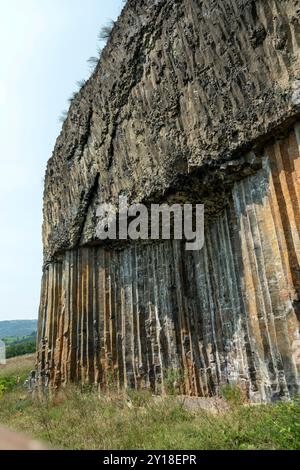 Magnifici organi basaltici di Chilhac in alta Loira, Auvergne-Rhône-Alpes, Francia Foto Stock