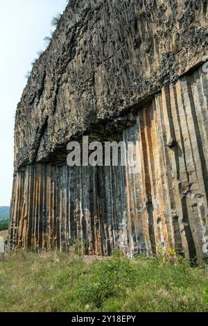 Magnifici organi basaltici di Chilhac in alta Loira, Auvergne-Rhône-Alpes, Francia Foto Stock