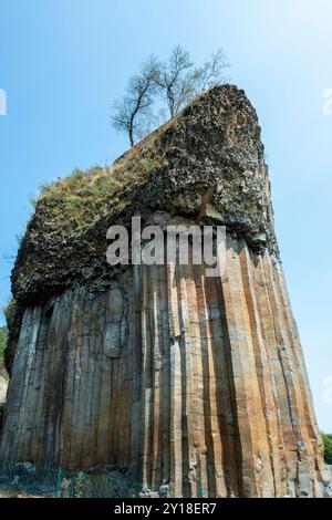 Magnifici organi basaltici di Chilhac in alta Loira, Auvergne-Rhône-Alpes, Francia Foto Stock