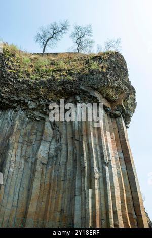 Magnifici organi basaltici di Chilhac in alta Loira, Auvergne-Rhône-Alpes, Francia Foto Stock