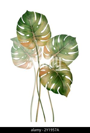 Poster di foglie tropicali. Composizione esotica dei rami di monstera Foto Stock