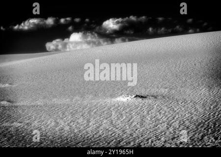 Una vista di una duna al White Sands National Park vicino ad Alamogordo, New Mexico. Foto Stock