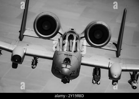 Un A-10 Thunderbolt II della U.S. Air Force. Il Fairchild Republic A-10 Thunderbolt II, un velivolo da attacco subsonico ad ala dritta, monoposto, a doppio turbocompressore, sviluppato da Fairchild Republic per la United States Air Force (USAF). Foto Stock