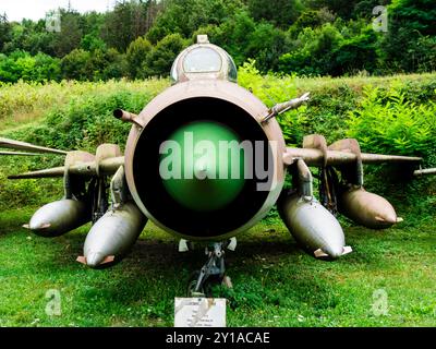 Vista frontale del caccia MIG-21 al Museo del Castello di Savigny-les Beaune (Borgogna/Francia) Foto Stock