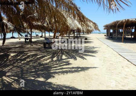 I visitatori si godono il sole sotto gli ombrelloni di paglia a Paradise Island, con sabbia soffice e cieli azzurri che creano una perfetta fuga tropicale Foto Stock