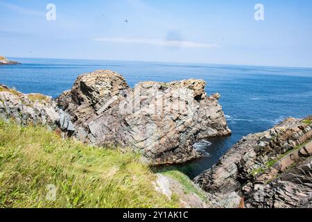 Vista della Trinity Bay dal faro di Cape Bonivista a Bonavista, Terranova e Labrador, Canada Foto Stock