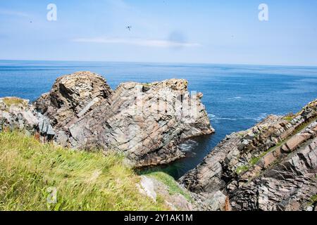 Vista della Trinity Bay dal faro di Cape Bonivista a Bonavista, Terranova e Labrador, Canada Foto Stock