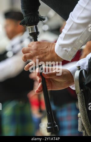 Dita di un suonatore di cornamusa sullo strumento, orchestra di cornamuse, concerto di cornamusa, Sigmaringen, Baden-Wuerttemberg, Germania, Europa Foto Stock