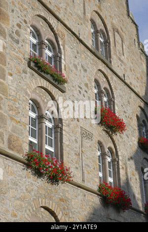 Azienda vinicola con gogna ad Alsfeld Foto Stock