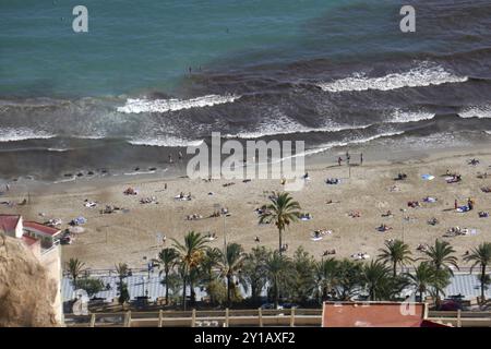 Alghe sulla spiaggia di Alicante Foto Stock