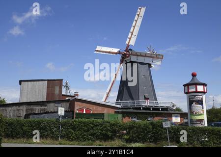 Mulino a vento olandese a Bardowick Foto Stock