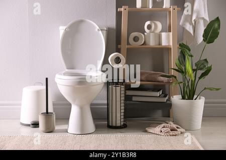 WC bianco, rotoli di carta e pianta domestica in bagno Foto Stock