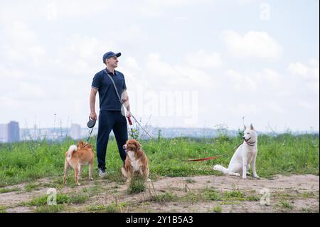 Un uomo caucasico cammina con tre cani. Camminatore per cani. Foto Stock