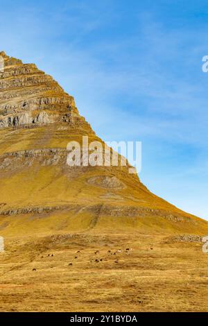 Montagna Kirkjufell con un cielo blu sullo sfondo. La montagna è ricoperta di erba e rocce. Il cielo è limpido e luminoso Foto Stock