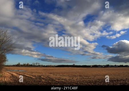 Grandi cieli su Burscough, costruito sulla pianura del Lancashire occidentale che si estende da Parbold Hill alla costa dove ci sono alcuni cieli grandi. Foto Stock