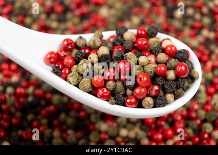 Diverse varietà di pepe in grani, peperoni rossi, verdi, neri e bianchi in un cucchiaio. Foto Stock