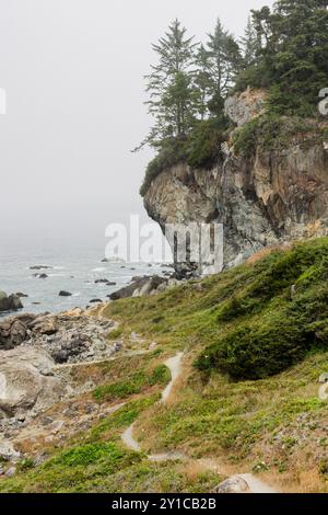 Alta scogliera con alberi che si affacciano su una costa nebbiosa e sull'oceano Foto Stock