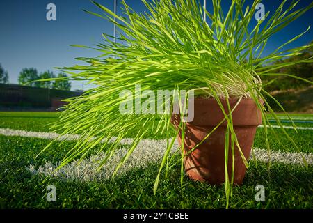 Erba coltivata in contrasto con Astro Turf Foto Stock