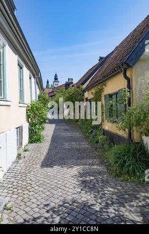 Stretta strada acciottolata con case splendidamente fiancheggiate. Foto Stock