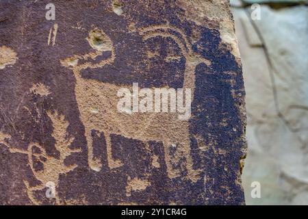 Un pannello petroglifico di arte rupestre amerinda pre-ispanica della cultura Fremont a Nine Mile Canyon, Utah. Foto Stock