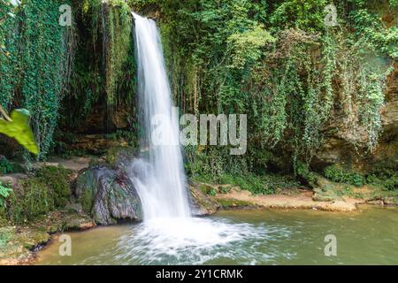 Una cascata serena si tuffa sulle rocce in una tranquilla piscina circondata da vegetazione lussureggiante in un tranquillo ambiente esterno Foto Stock
