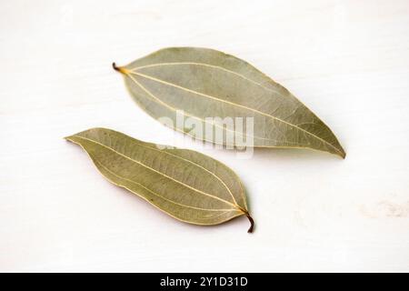 Due foglie di alloro essiccate (Laurus nobilis) isolate su sfondo bianco. È anche noto come Tejpata, Cassia Leaves, Cinnamomum tamala, Indian Bay Leaf, Foto Stock