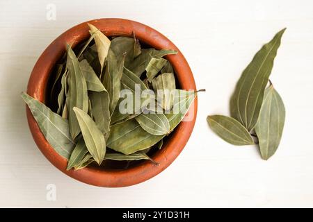 Foglie di alloro essiccate (Laurus nobilis) in un vaso di terracotta su fondo di legno. È anche conosciuto come Tej Pata, Cassia Leaves, Cinnamomum tamala Foto Stock