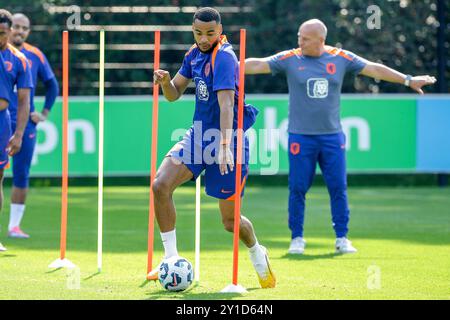 Zeist, Paesi Bassi. 6 settembre 2024. ZEIST, PAESI BASSI - 6 SETTEMBRE: Cody Gakpo dei Paesi Bassi durante una sessione di allenamento della squadra di calcio olandese in vista della partita di UEFA Nations League tra Paesi Bassi e Bosnia ed Erzegovina al KNVB Campus il 6 settembre 2024 a Zeist, Paesi Bassi. (Foto di Broer van den Boom/Orange Pictures) credito: dpa/Alamy Live News Foto Stock