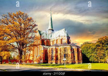 Cattedrale di Bad Doberan, Germania Foto Stock