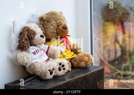 Orsacchiotti morbidi (uno potrebbe essere un cane) che indossano t-shirt e si siedono appoggiati su un tronco di metallo nero che guarda con un chiodo ma solo l'occhio della persona Foto Stock