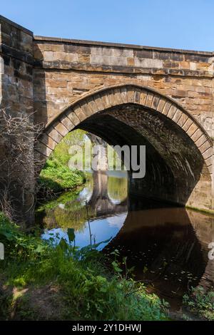 Una vista panoramica del fiume Tees a Yarm che mostra il ponte stradale e le rive alberate del fiume con riflessi sull'acqua Foto Stock