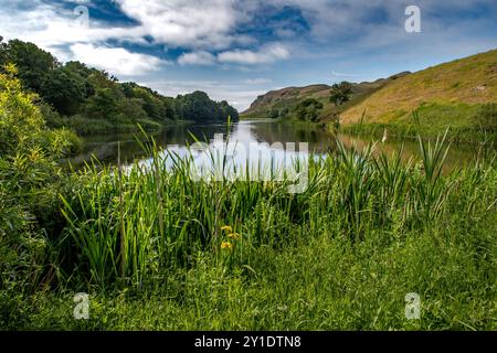 Paesaggio rurale con lago Mire Loch sulla costa atlantica di St. Abbs Head in Scozia, Regno Unito Foto Stock