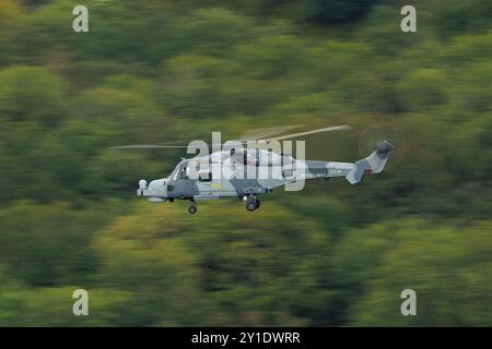 Elicottero Wildcat in una sortita di addestramento attraverso la valle di Wye Foto Stock