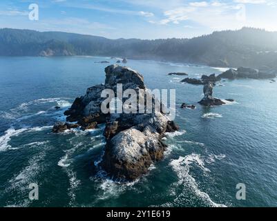 Gli aspri fondali marini si trovano appena al largo della costa panoramica dell'Oregon settentrionale, vicino a Cannon Beach. Questa splendida zona è a circa un'ora di auto da Portland. Foto Stock