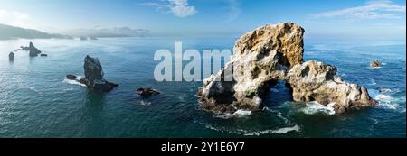 Gli aspri fondali marini si trovano appena al largo della costa panoramica dell'Oregon settentrionale, vicino a Cannon Beach. Questa splendida zona è a circa un'ora di auto da Portland. Foto Stock