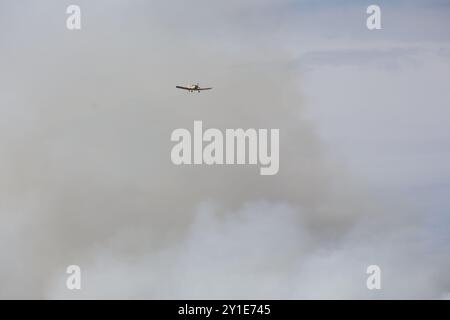 Wernigerode, Germania. 6 settembre 2024. Un piccolo aereo antincendio vola attraverso nuvole di fumo sopra il Königsberg, nelle montagne Harz sotto il Brocken. Stava bruciando in diversi luoghi su una lunghezza di circa 300 metri, ha detto un portavoce del distretto di Harz. Crediti: Matthias Bein/dpa/Alamy Live News Foto Stock