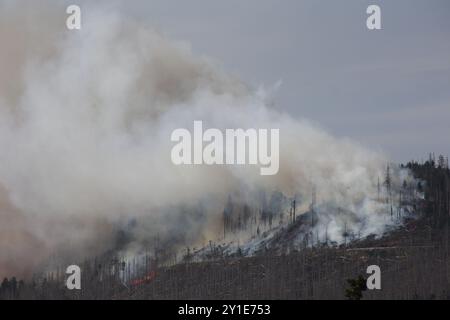 Wernigerode, Germania. 6 settembre 2024. Nuvole di fumo sorgono dal Königsberg nei monti Harz sotto il Brocken. Sta bruciando in diversi luoghi su una lunghezza di circa 300 metri, ha detto un portavoce del distretto di Harz. Crediti: Matthias Bein/dpa/Alamy Live News Foto Stock