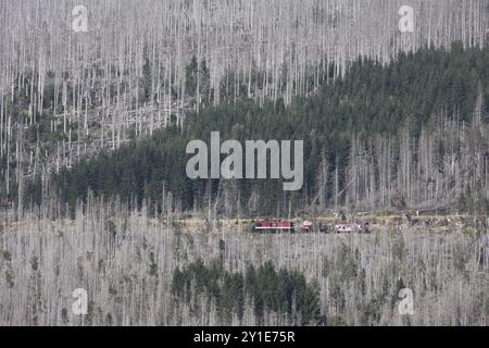 Wernigerode, Germania. 6 settembre 2024. Un carro cisterna con acqua estinguente è condotto sulla scena dell'incendio da una locomotiva diesel della ferrovia a scartamento ridotto HSB di Harz fino a Königsberg nelle montagne Harz. Ci sono incendi in diversi luoghi su una lunghezza di circa 300 metri, ha detto un portavoce del distretto di Harz. Crediti: Matthias Bein/dpa/Alamy Live News Foto Stock