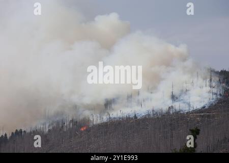 Wernigerode, Germania. 6 settembre 2024. Nuvole di fumo sorgono dal Königsberg nei monti Harz sotto il Brocken. Sta bruciando in diversi luoghi su una lunghezza di circa 300 metri, ha detto un portavoce del distretto di Harz. Crediti: Matthias Bein/dpa/Alamy Live News Foto Stock