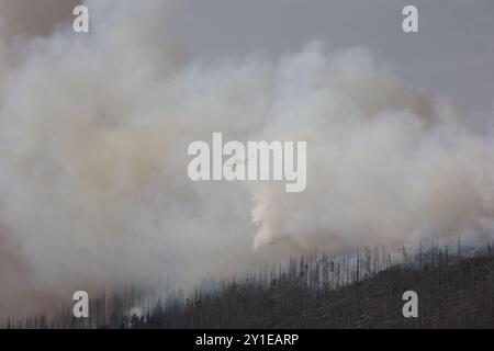 Wernigerode, Germania. 6 settembre 2024. Un piccolo aereo antincendio vola sopra le nuvole di fumo sul Königsberg, nelle montagne Harz, sotto il Brocken e getta l'acqua. Ci sono stati incendi in diversi luoghi su una lunghezza di circa 300 metri, ha detto un portavoce del distretto di Harz. Crediti: Matthias Bein/dpa/Alamy Live News Foto Stock