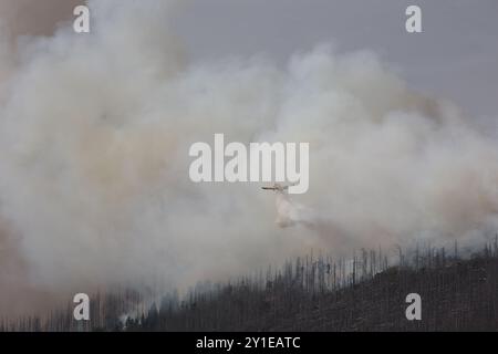 Wernigerode, Germania. 6 settembre 2024. Un piccolo aereo antincendio vola sopra le nuvole di fumo sul Königsberg, nelle montagne Harz, sotto il Brocken e getta l'acqua. Ci sono stati incendi in diversi luoghi su una lunghezza di circa 300 metri, ha detto un portavoce del distretto di Harz. Crediti: Matthias Bein/dpa/Alamy Live News Foto Stock