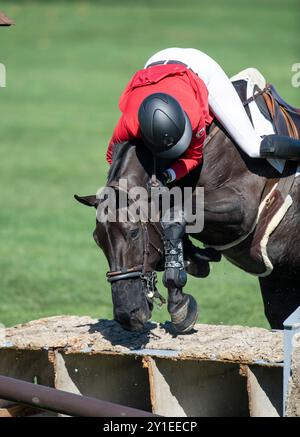 Calgary, Alberta, Canada, 5 settembre 2024. Tiffany Foster (CAN) cavalcando Battlecry, The Masters showjumping, - Cana Cup Foto Stock