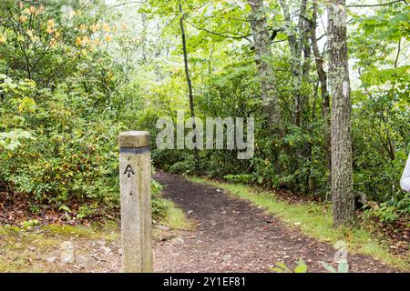 Segnavia sull'Appalachian Trail nello Shenandoah National Park, Virginia Foto Stock