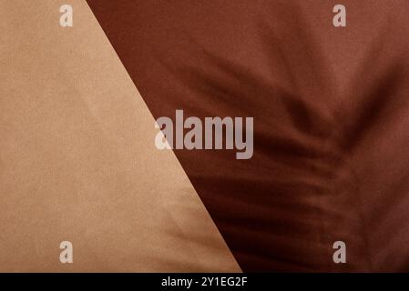 Caldo sfondo estivo di colore marrone e beige con ombra di palma tropicale. Due tipi di carta pastello di tendenza e layout di piante esotiche. Disposizione piatta minima con le Foto Stock