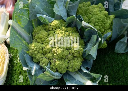 Broccoli Romanesco in una bancarella di mercato, Regno Unito Foto Stock