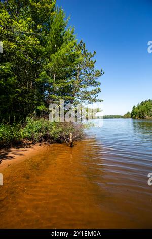 Lago Nokomis a Tomahawk, Wisconsin in estate, verticale Foto Stock