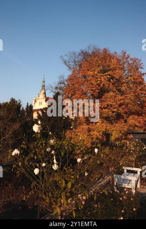 Praga, repubblica Ceca - 29 ottobre 2021: Rose bianche che sbocciano in un giardino vicino a un vecchio maniero in autunno nel parco Pruhonice Foto Stock