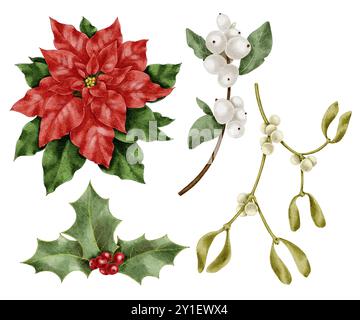 Illustrazione Mistletoe, snowberry, poinsettia e holly Watercolor Foto Stock