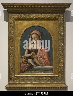 Giovanni Bellini (1432-1516). Pittore italiano. Madonna col bambino, 1460-1465. Tempera su pannello di legno. Pinacoteca Castello Sforzesco, Milano, Italia. Foto Stock